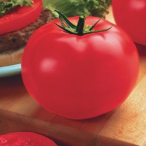 Big Beef Plus Tomato